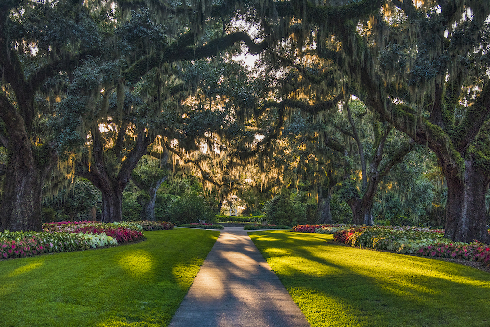 Brookgreen Gardens