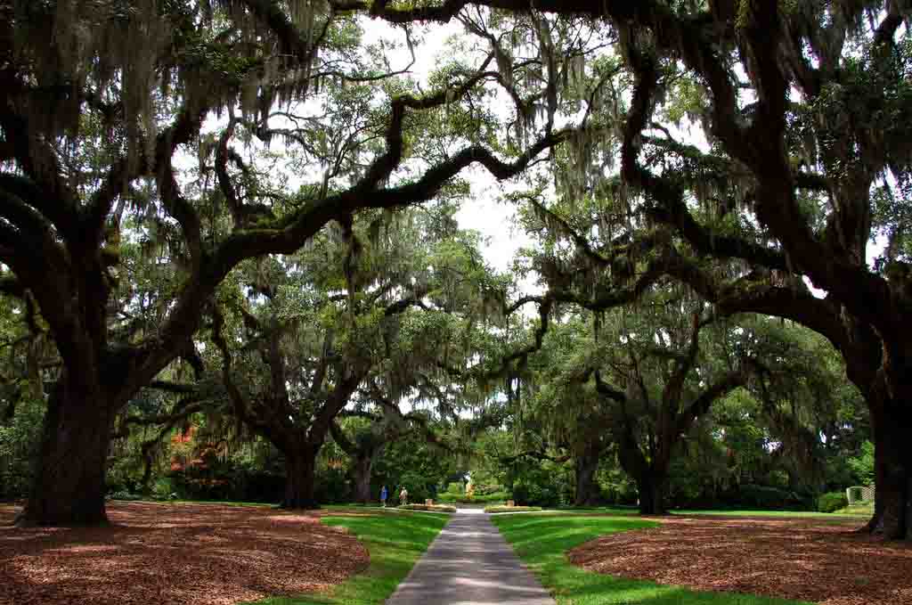 Brookgreen Gardens