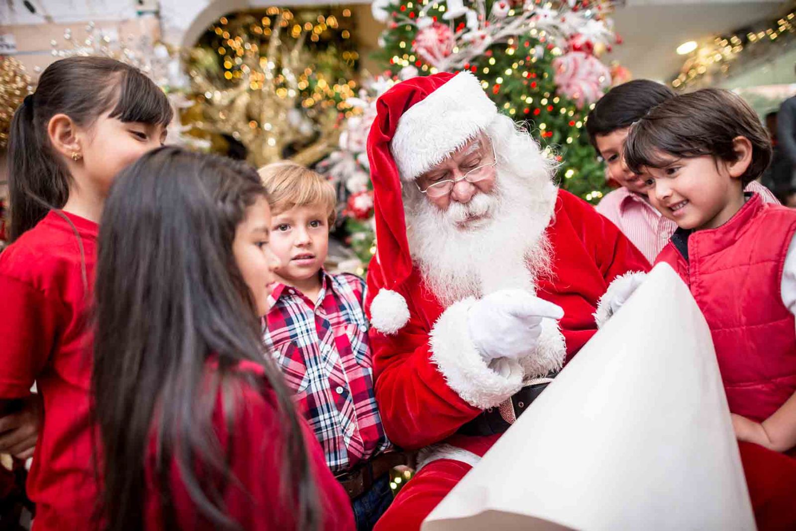 Children meeting Santa at Santa's Village