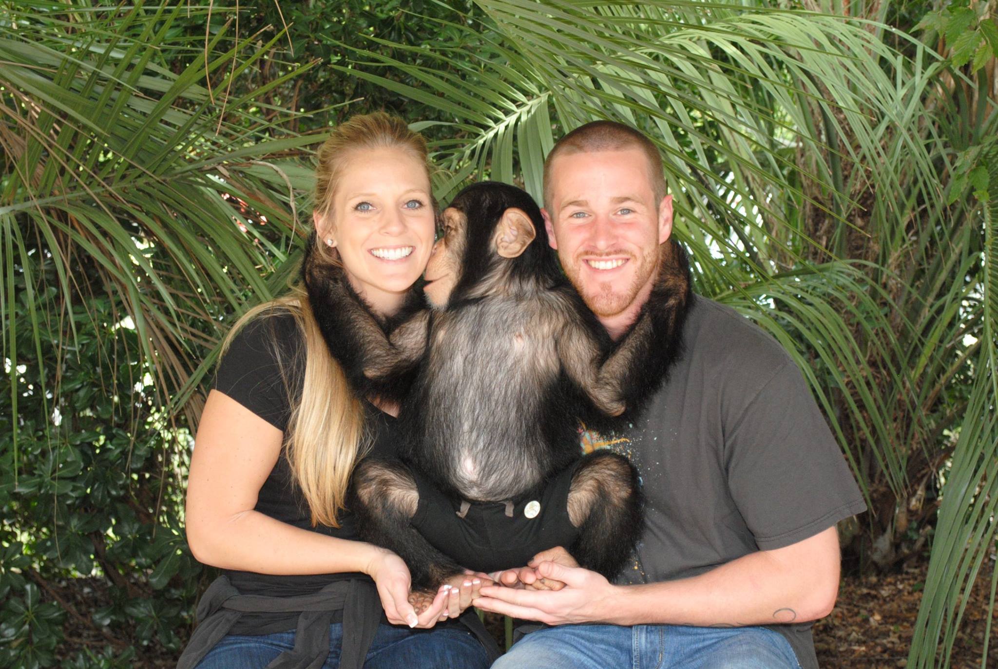 myrtle beach safari wild encounters tour