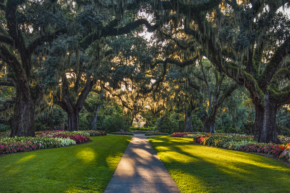 romantic activities for couples in myrtle beach brookgreen gardens